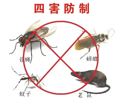 床墊易滋生吸血臭蟲，怎樣預(yù)防呢？